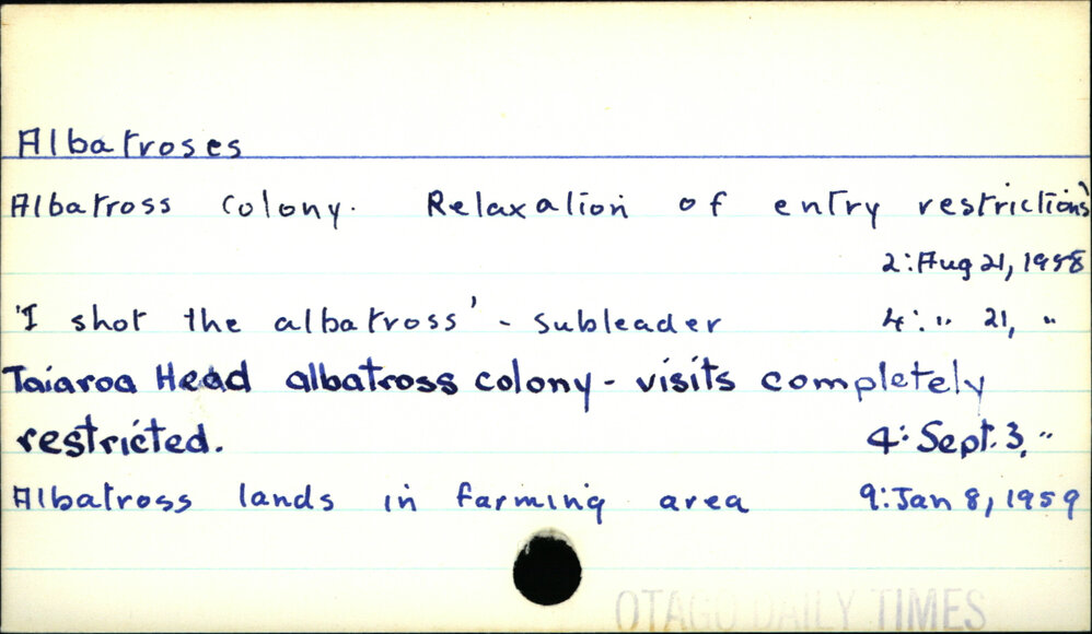 Albatrosses