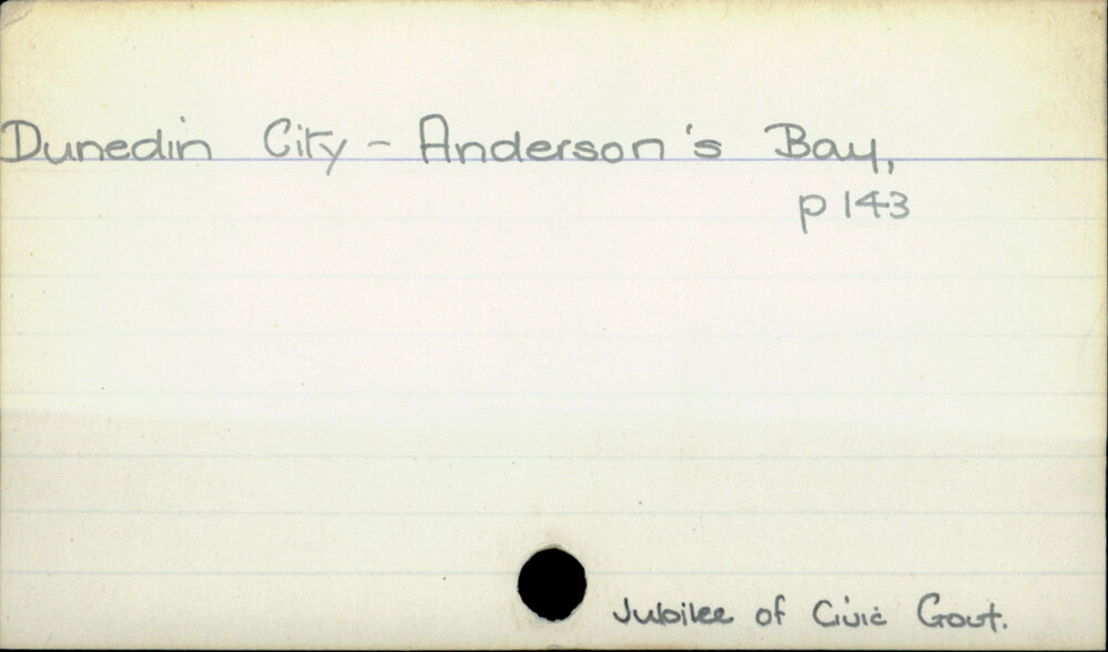 Dunedin City - Anderson's Bay