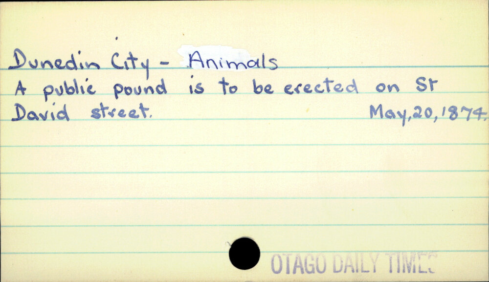 Dunedin City - Animals 