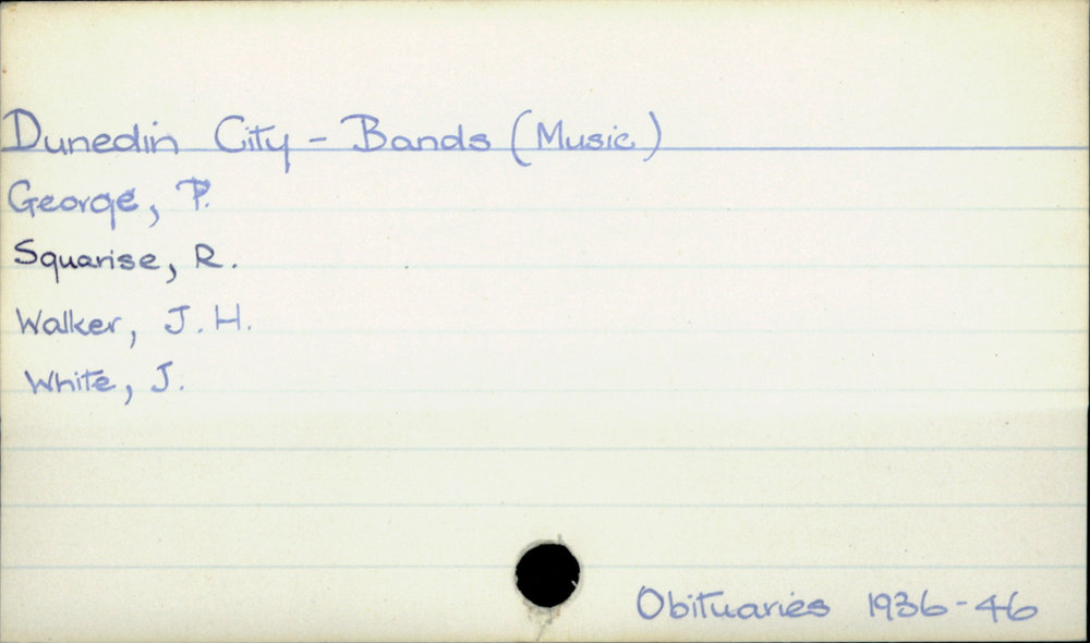 Dunedin City - Bands (Music)