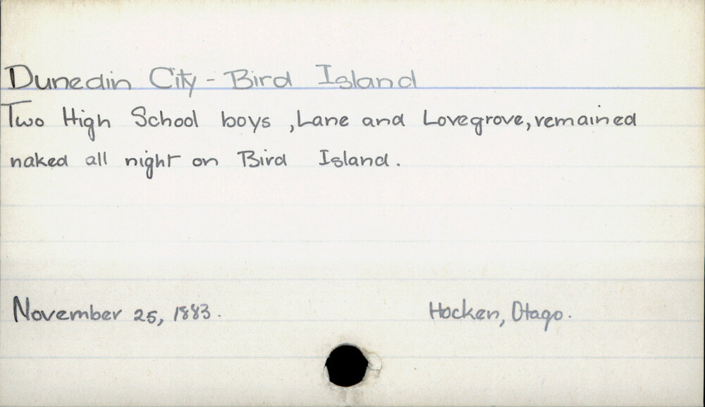 Dunedin City - Bird Island