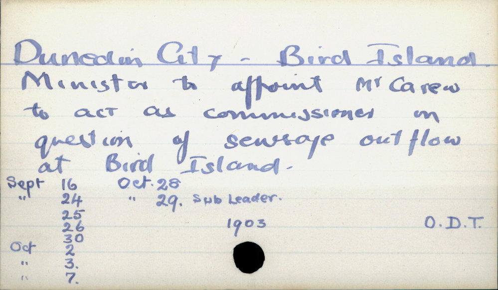 Dunedin City - Bird Island