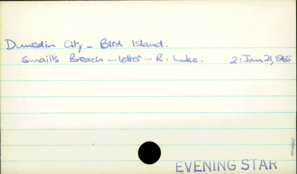 Dunedin City - Bird Island.