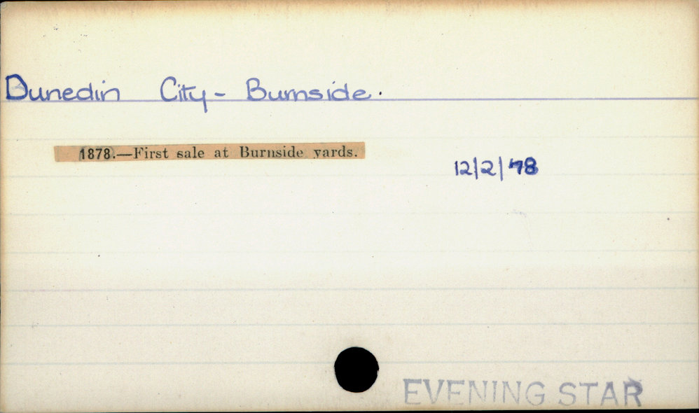 Dunedin City - Burnside.