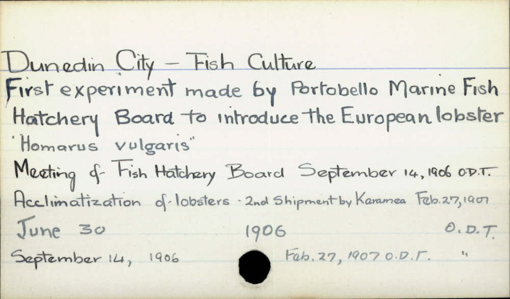 Dunedin City - Fish culture