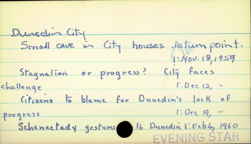 Dunedin City