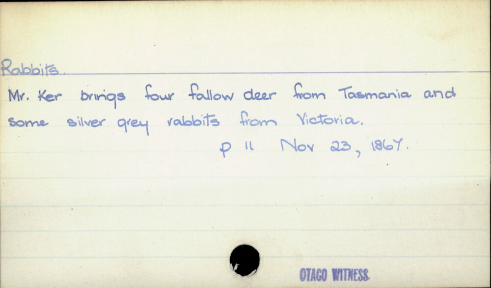 Rabbits | Dunedin Public Libraries