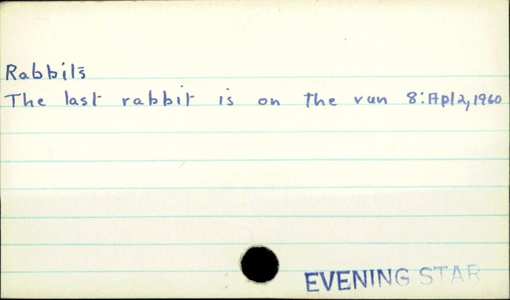 Rabbits | Dunedin Public Libraries