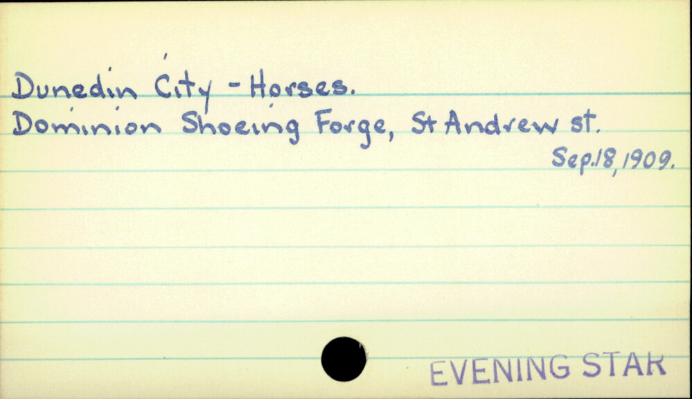Dunedin City - Horses