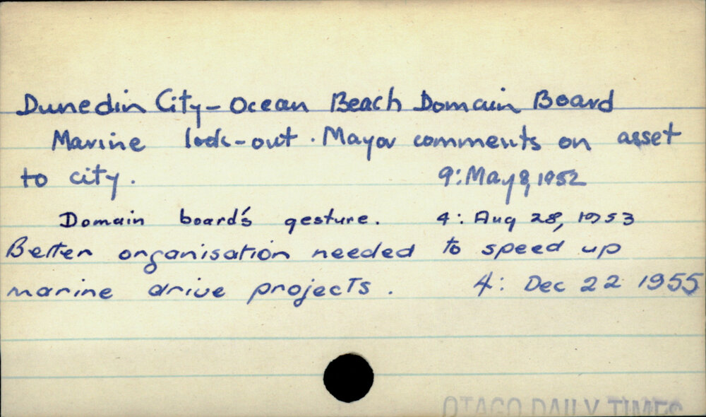 Dunedin City - Ocean Beach Domain Board