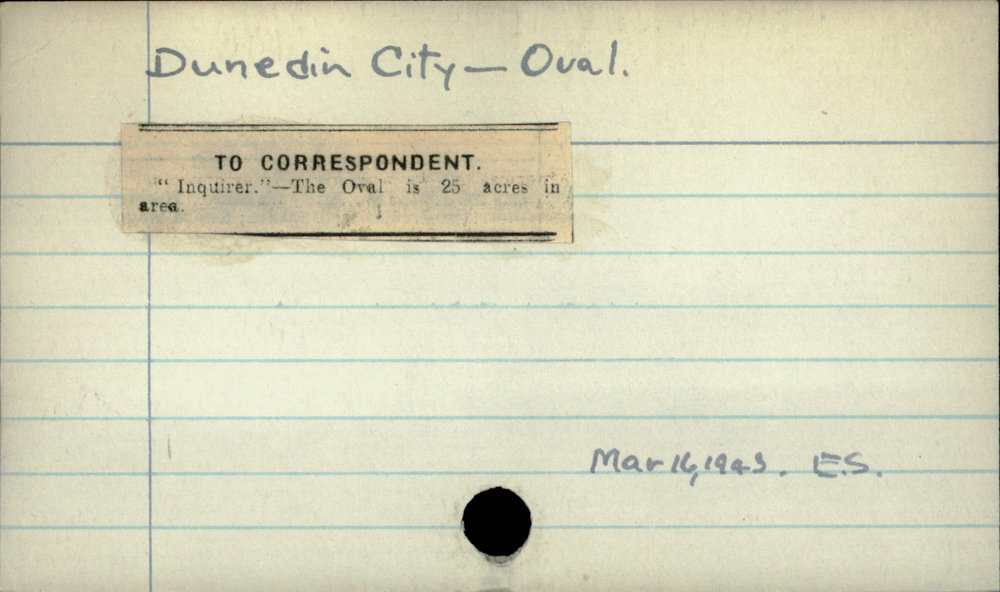 Dunedin City - Oval