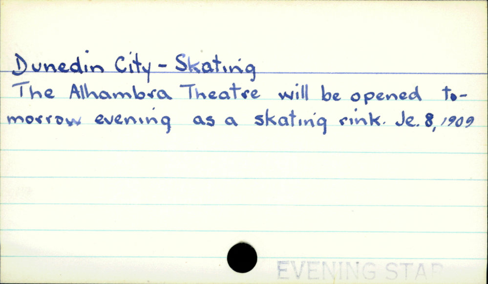 Dunedin City - Skating 
