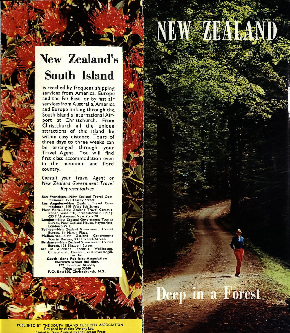 New Zealand's South Island - Deep in a Forest