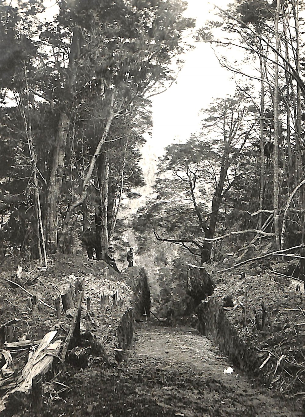 Waipori No,. 1 pipeline track 1905