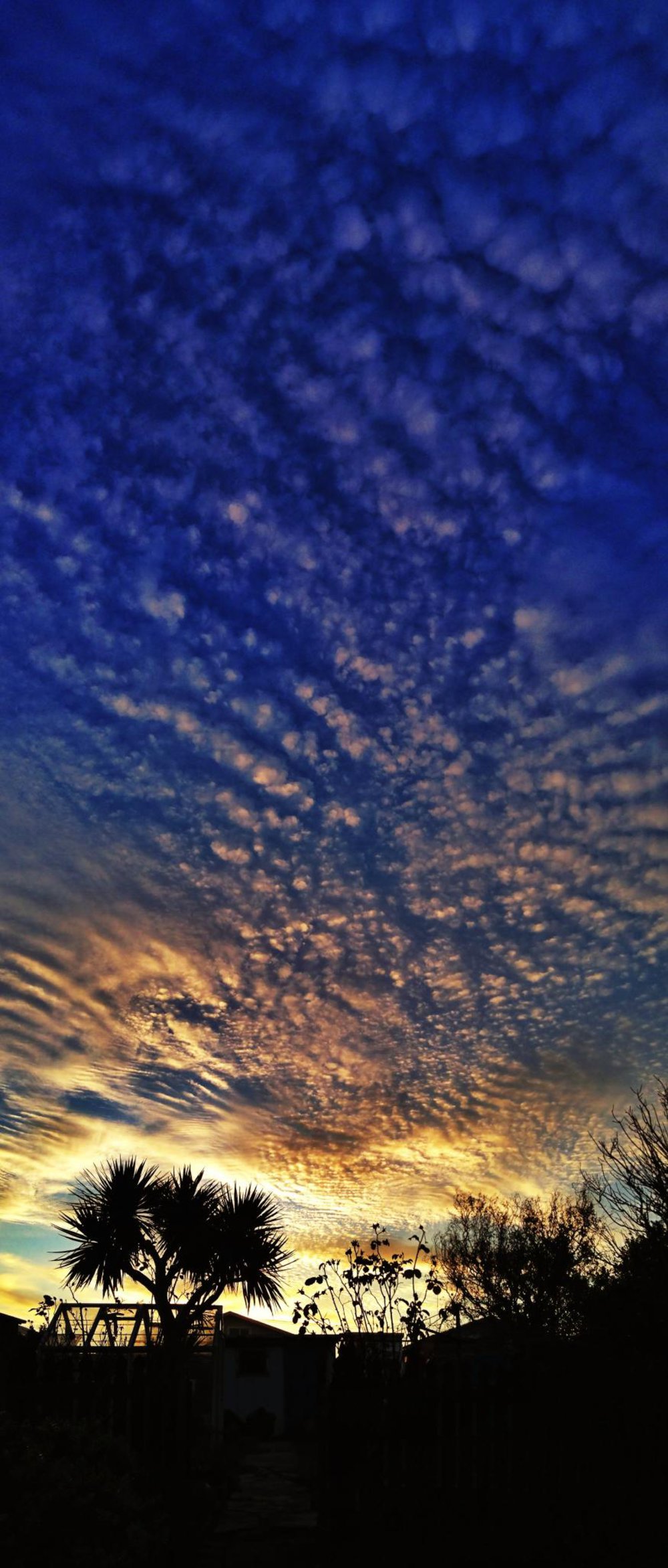 Big Evening Sky - Dunedin New Zealand