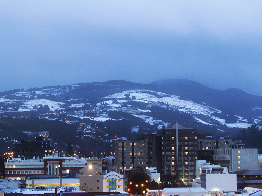 Dunedin Snow