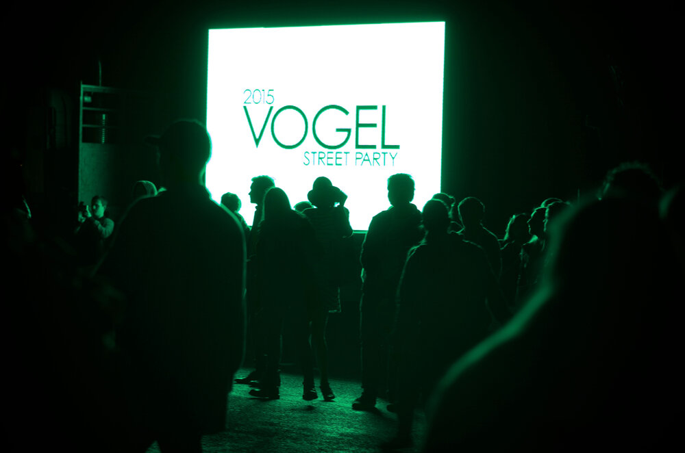 Vogel Street Party 2015 