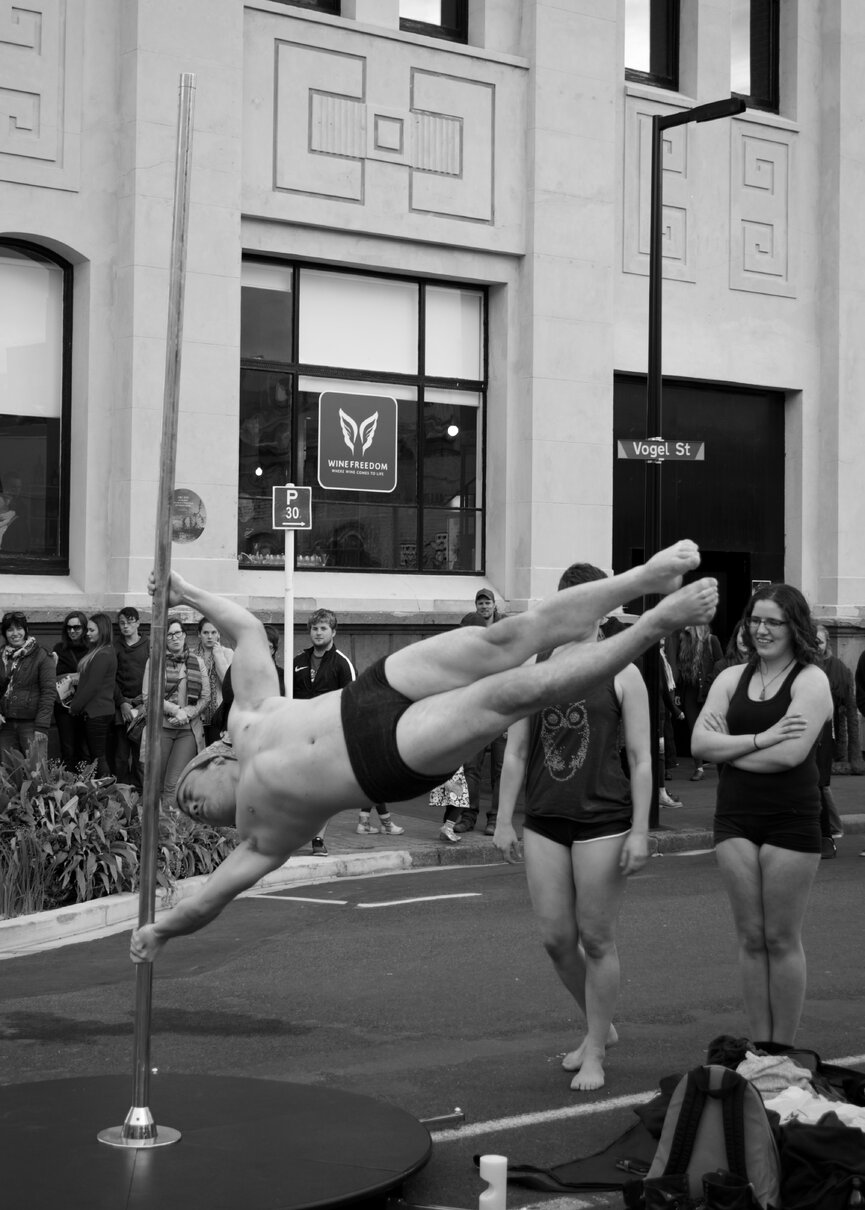 Vogel Street Party 2015 