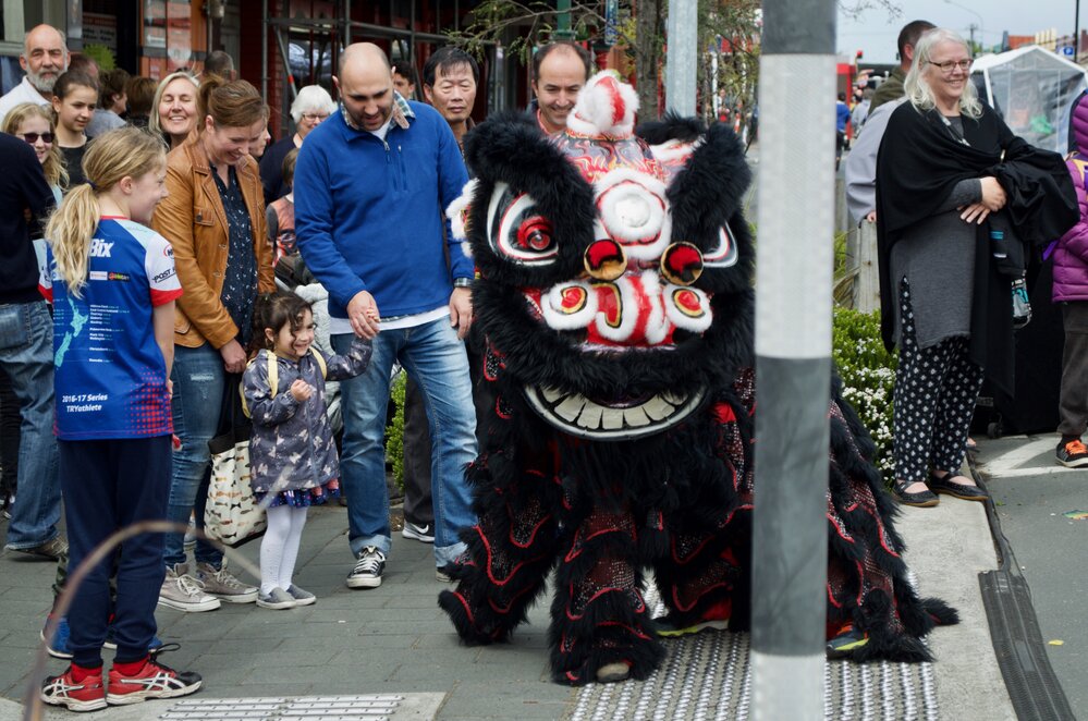 South Dunedin Street Festival 2017 - PSA - 118