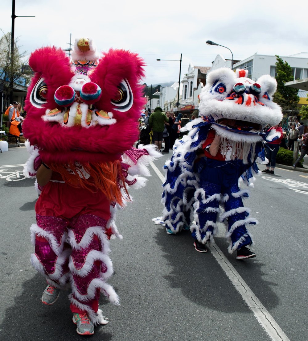 South Dunedin Street Festival 2017 - PSA - 121