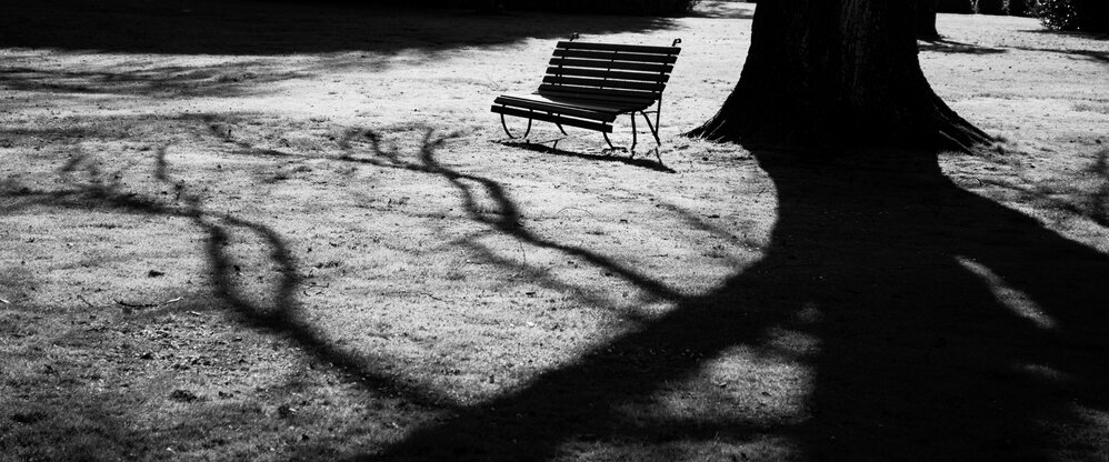 A seat in the park