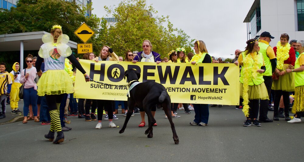 Dunedin Hopewalk 2018 