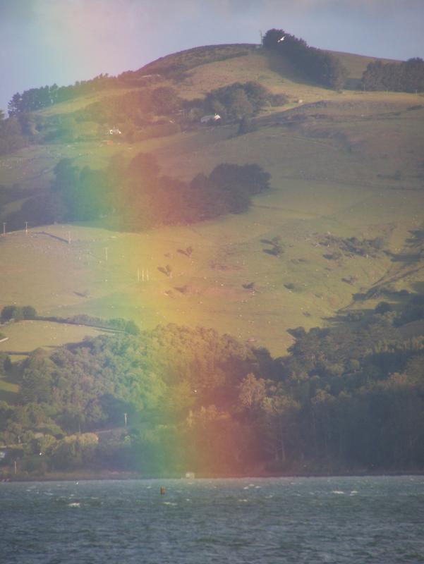 Rainbow in Otago Harbour