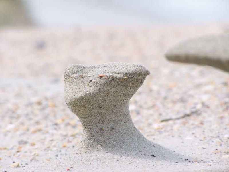 Natural Sand Sculptures