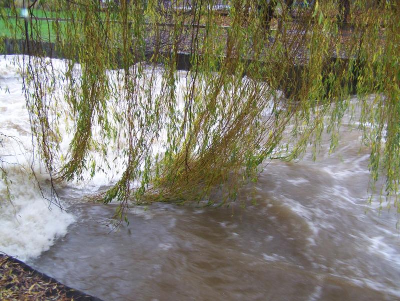 High Water The Leith