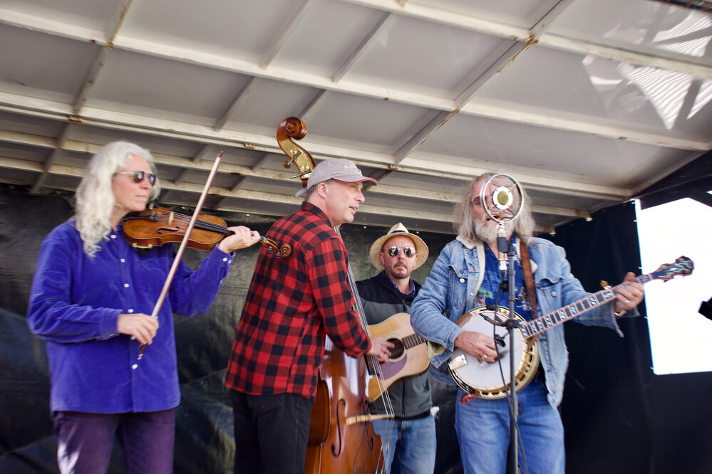 South Dunedin Street Festival 2019 