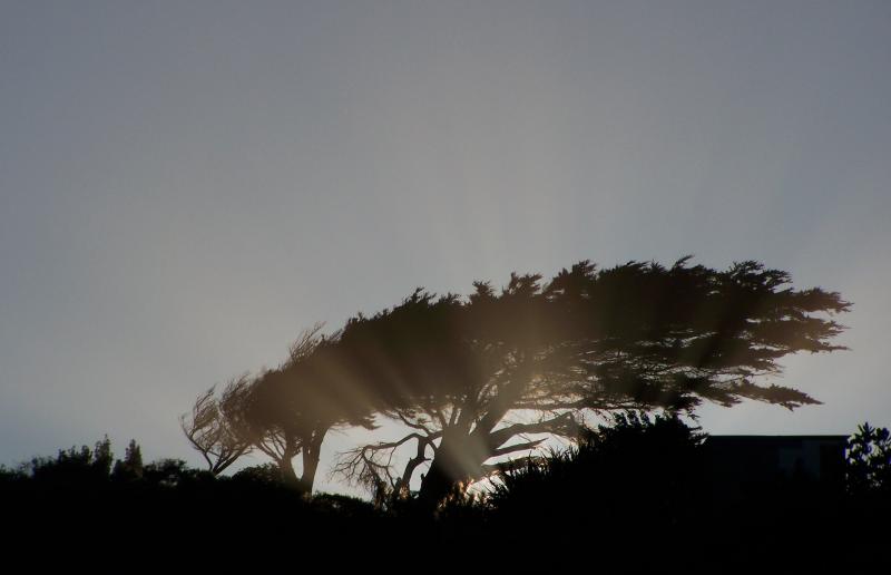 Shining Through 2