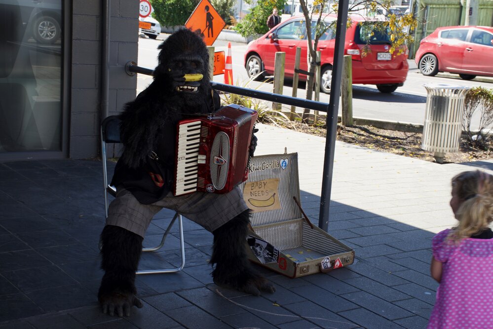 South Dunedin Busking Festival 2019 PSA - 66