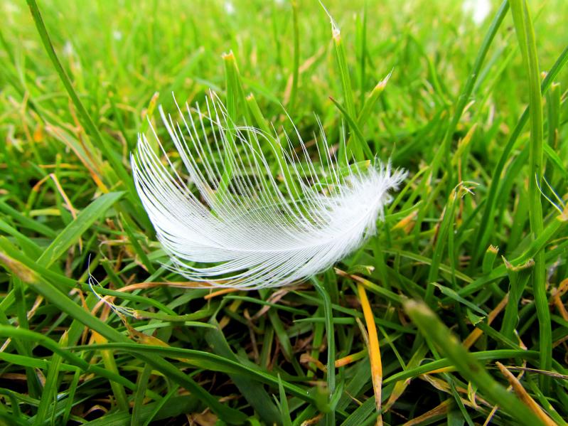 As Light As A feather #2