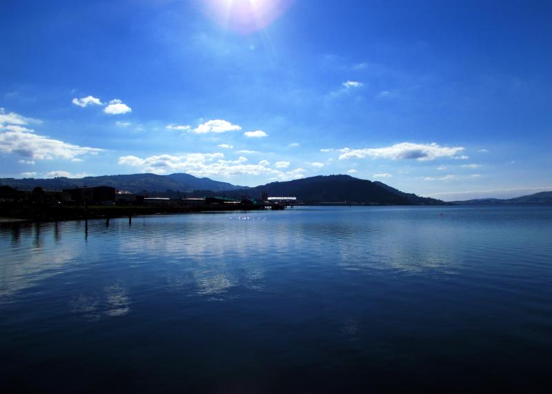 Dunedin Harbourside