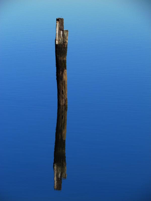 One