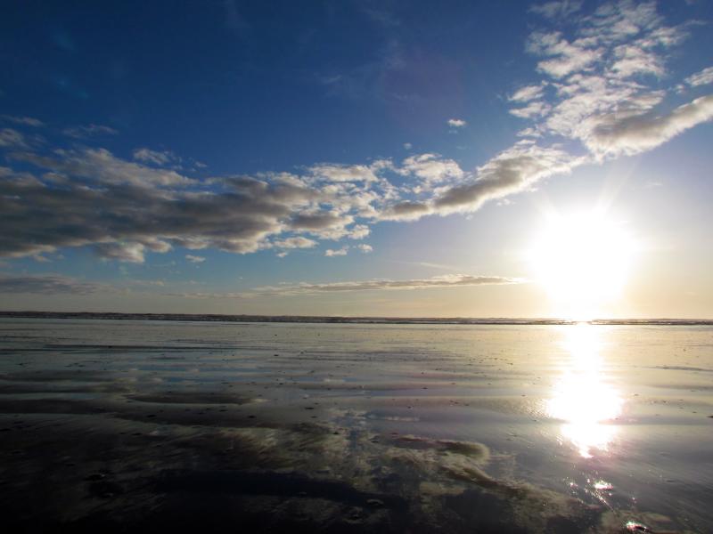 Foxton Beach