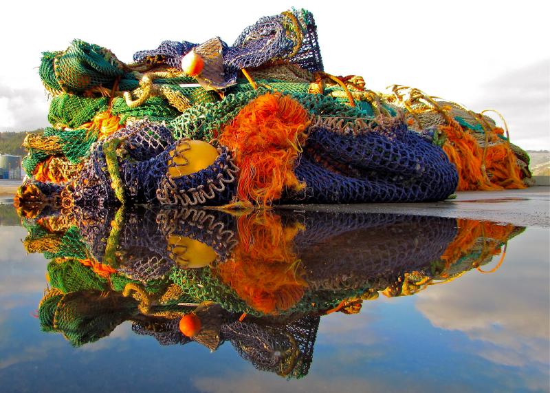 Caught by the Nets