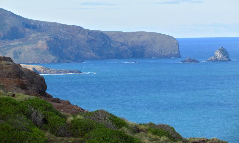 Otago Coast