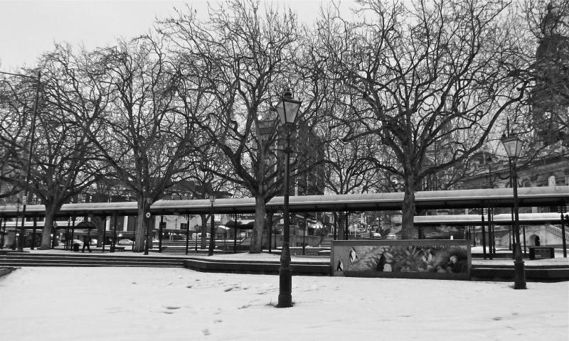Snow in the Octagon