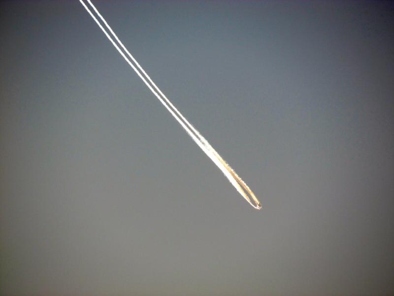 Contrail over Dunedin