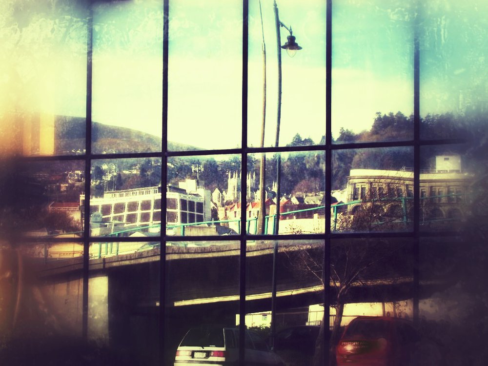 Dunedin Reflective