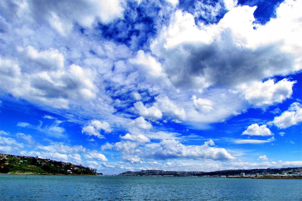 Dunedin City - Harbour and Sky