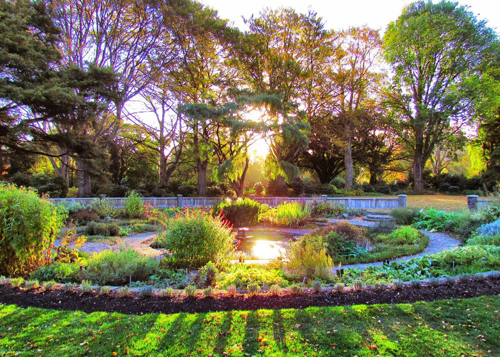 The Herb Garden in Golden Autumn Sun