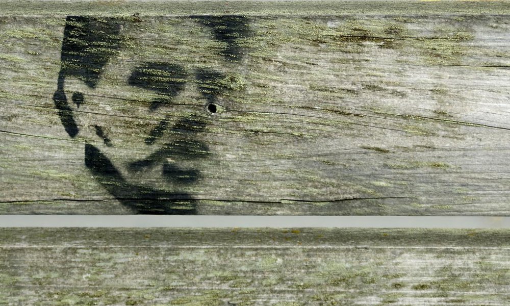 Face