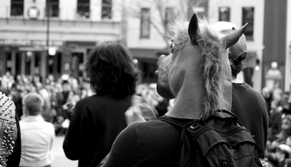 Dunedin protest against the GCSB   TICS bills