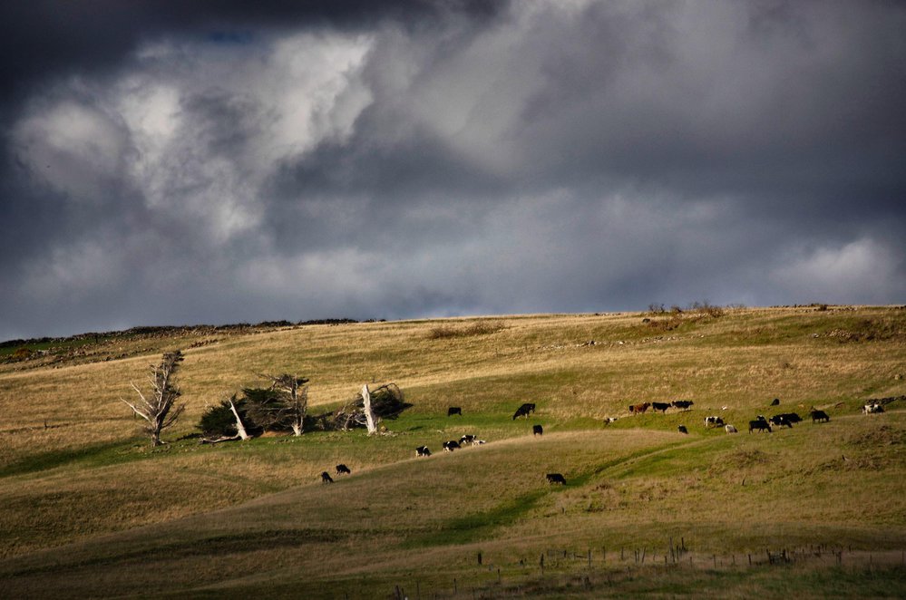 Moody Hills