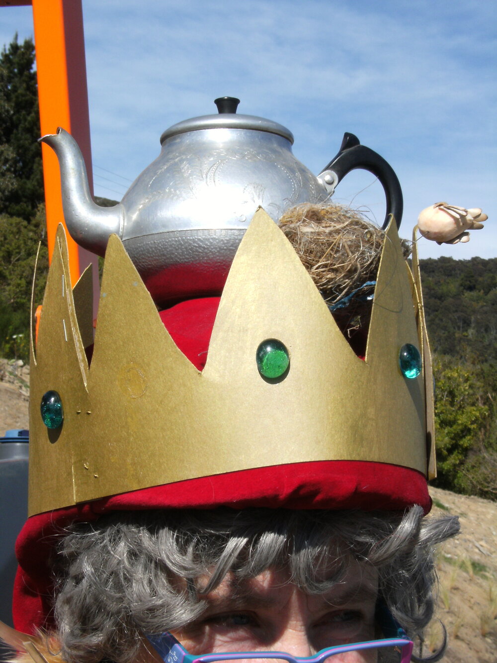 Waitati Militia