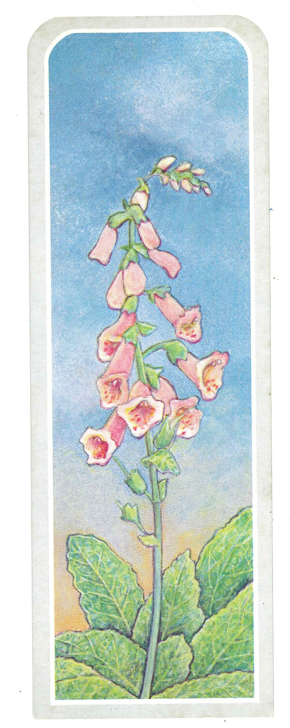Mike Hamblyn Heritage Bookmark Collection