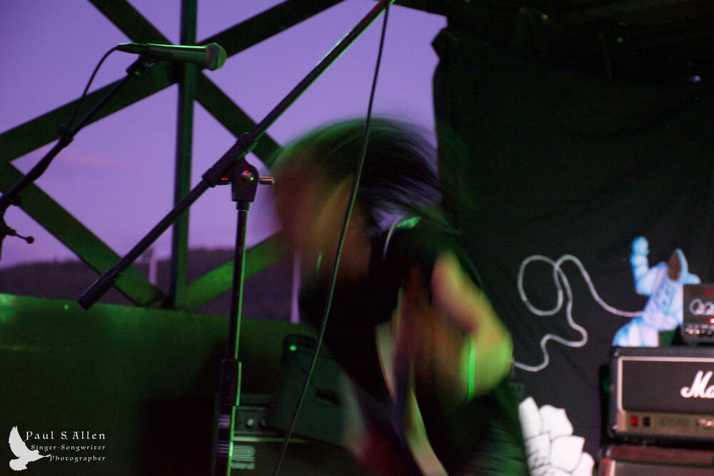 Waitati Music Festival by Paul S Allen: Ayamvoid