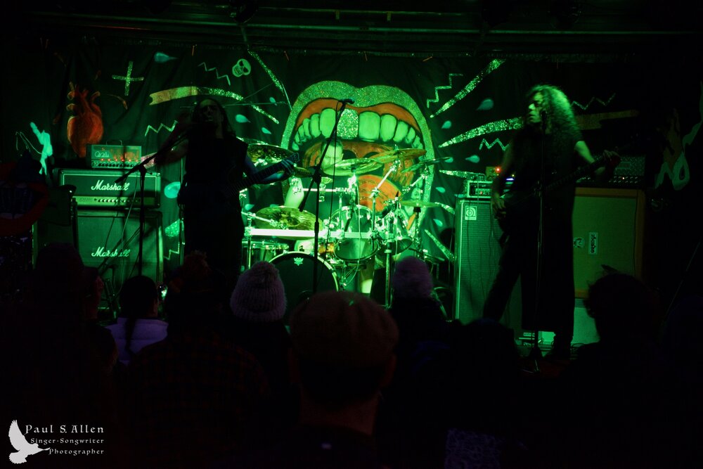 Waitati Music Festival by Paul S Allen: Ayamvoid
